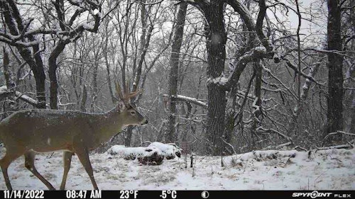 Cellular trail cams not only provide real-time info on deer movement, but they can also help you decide whether it's safe to travel to your hunting destination. Did your hunting area get snow? A trail cam pic will provide the proof. 