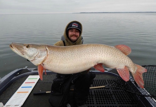 Benjamin Knutson caught a second 50-pound-class muskie on Minnesota’s legendary Mille Lacs Lake soon after releasing his first one.