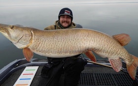 Minnesota Angler Catches Two Massive Muskies Nearly Back to Back