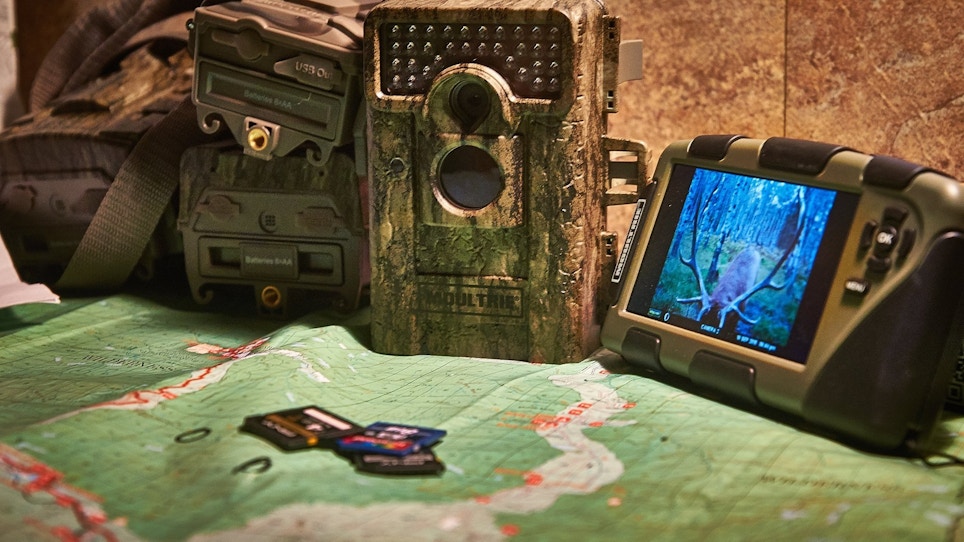 You Have Your Trail Cameras, But Do You Have a Plan?