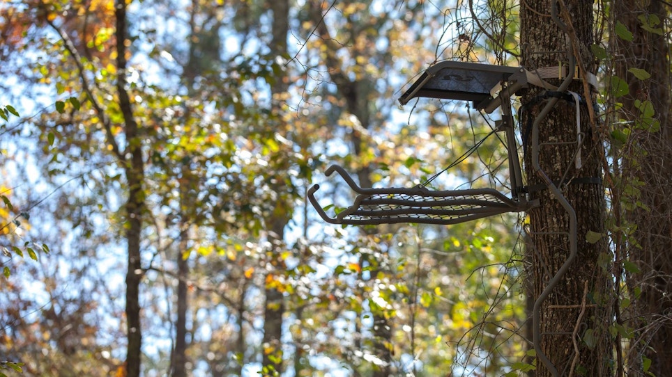 How to safely hang a treestand