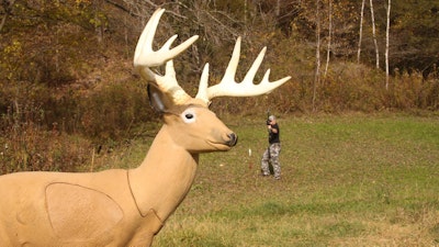 Top 10 Ways To Perfect Bow Shooting