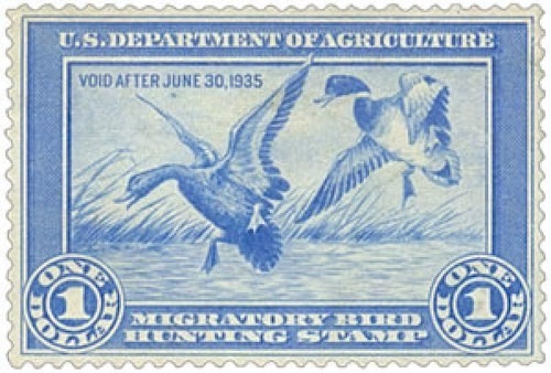 The first Federal Duck Stamp from 1934; the original artwork “Mallards Dropping” was drawn by Ding Darling.