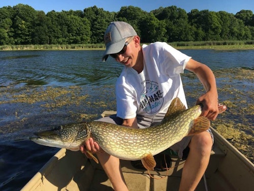 In areas where bass and pike location overlap, it makes sense to use a leader on a closed-loop spinnerbait to avoid bite-offs. The author’s son, above, caught this Minnesota pike on a closed-loop spinnerbait with a wire leader. The author and his son have success on bass with spinnerbaits even while using leaders (below).