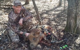 Why You Should Hunt Hogs During the Offseason