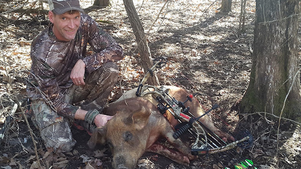 Why You Should Hunt Hogs During the Offseason