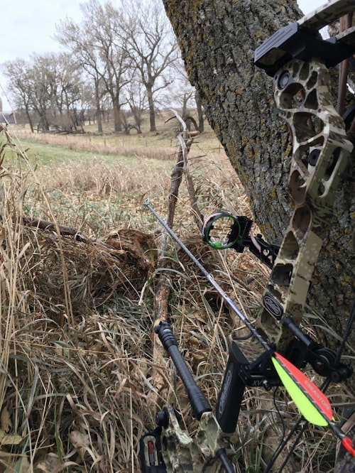 The author snapped this photo 30 minutes before the 4x4 buck arrived at the alfalfa field. The arrow is pointed to the spot in the green field where the shot eventually occurred.