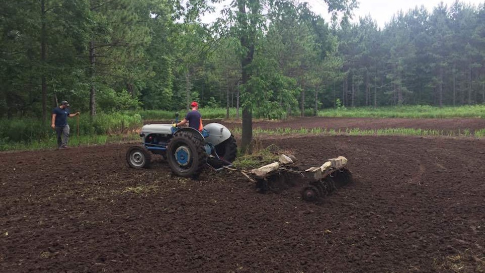Indulge Your Inner Farmer by Planting a Food Plot