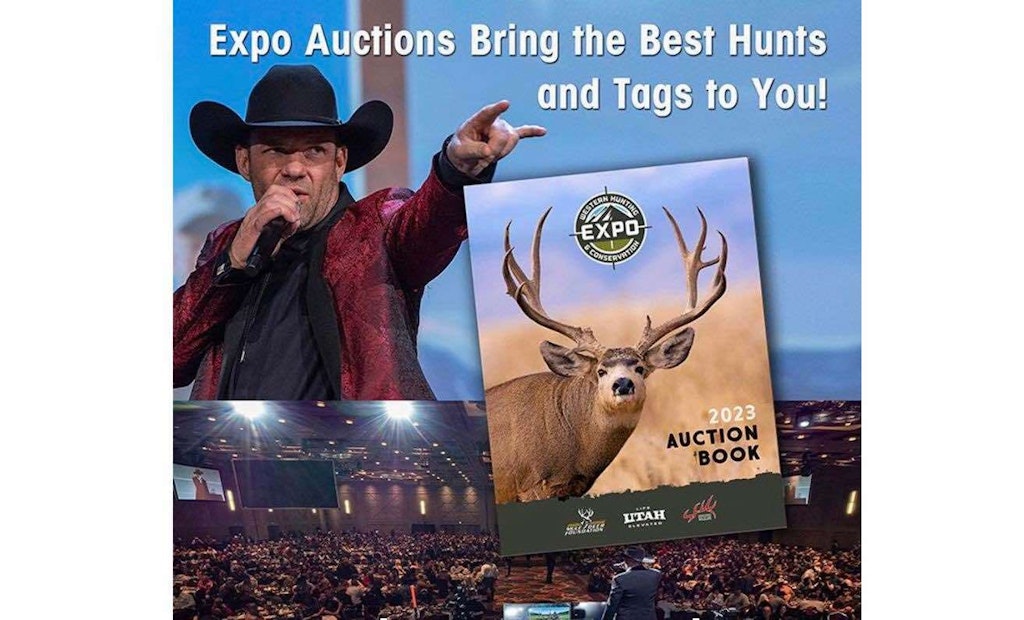 Auction Video: Arizona Mule Deer Tag Sells for Record $725K!