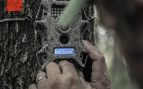 Trail Camera Tips for Beginners