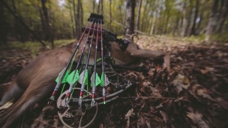 6 Killer Hunting Arrows