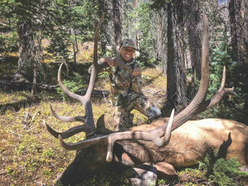The net Pope & Young score of the Colorado bull, after deductions, is 341-3/8 inches. 
