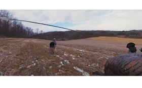 Must-See Video: Bowhunter Kills 6-Bearded Wild Turkey