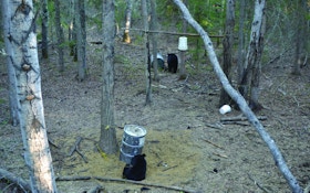 7 Tips for First-Time Bear Hunters