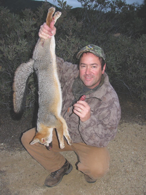 A beautiful gray fox taken by the author using a wooden closed-reed call. Such calls from Lohman, Dan Thompson and Haydel are his favorites
