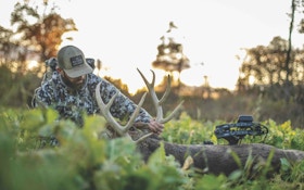 Choosing the Best Week to Hunt the Whitetail Rut