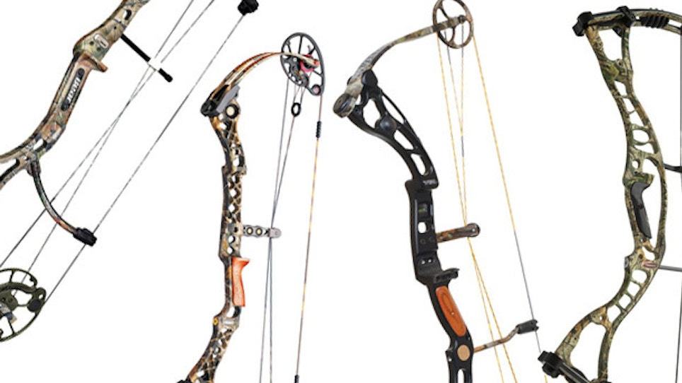 2010 New Bow Preview