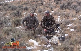 VIDEO: Predator Down Coyote Hunt Four Dogs Called