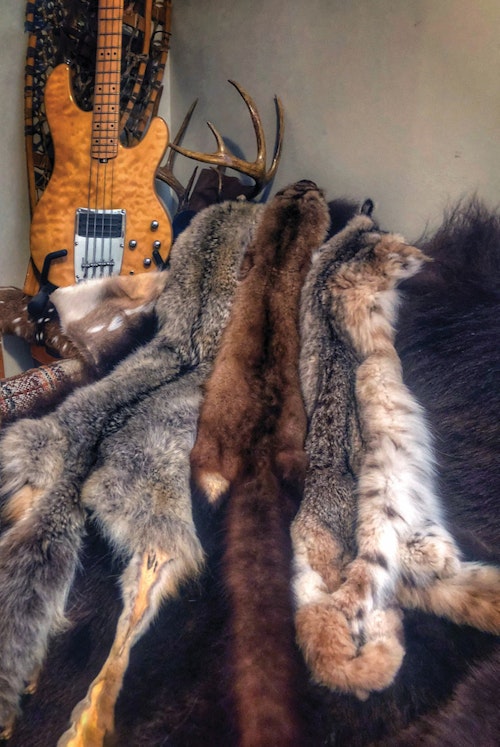 Tanned furs make great office or man cave décor and conversation pieces. There is also a niche market for these goods at trapper conventions, blackpowder rendezvous, flea markets and craft shows. 