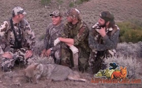 VIDEO: Coyote Hunting With Anything Wild
