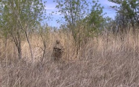 VIDEO: Kill Suit Desert And Grassland Camo For Predator Hunting