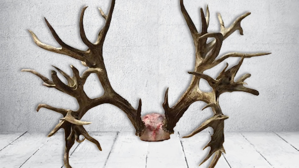 Tennessee Hunter's 47-Point Buck Confirmed New World Record