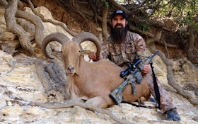 Hunting Aoudad Sheep With An AR Rifle