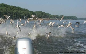 Great Lakes States To Fish For Invasive Species