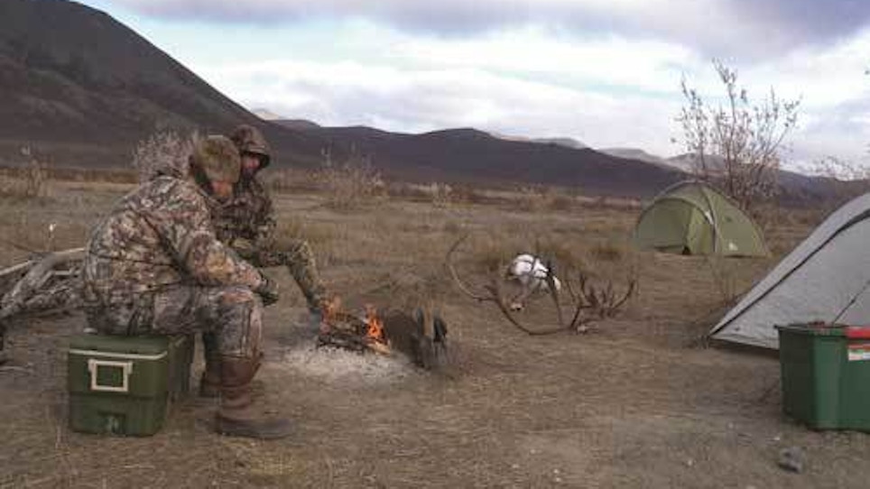 Advice for planning a caribou bowhunt in Alaska