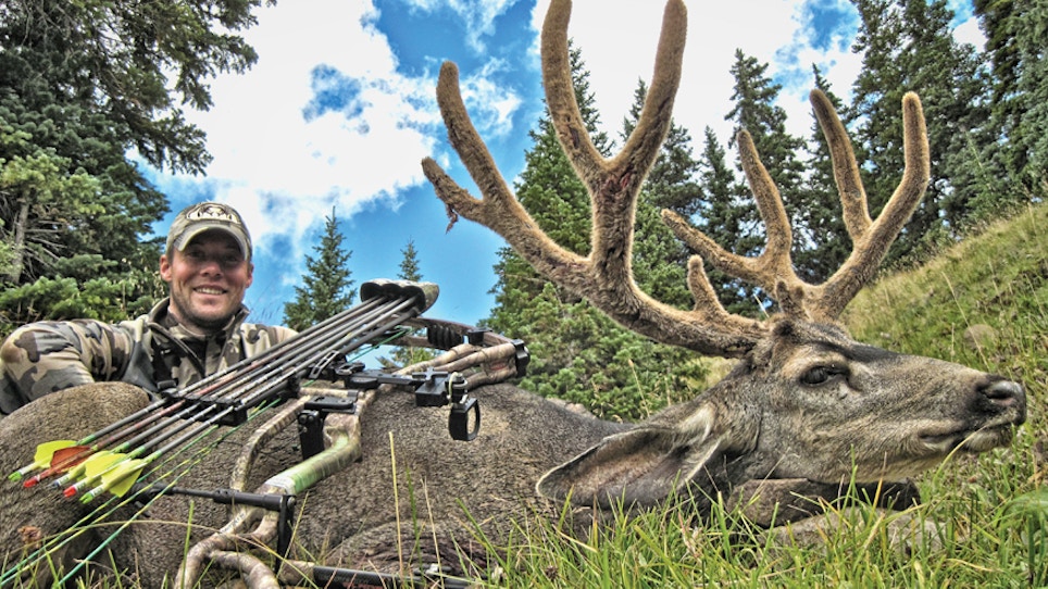 A How-To Guide To Public-Land Mule Deer