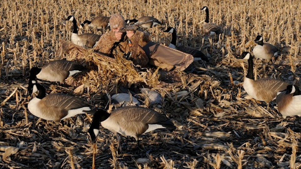 Avery Outfitter™ Layout Blind