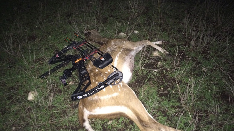 The Life Of A Bowhunter In Deer Season: Day 21