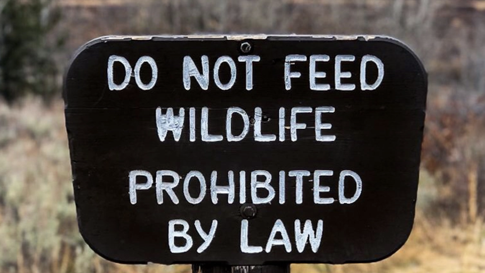 Two Cases Show How Stupid, Sick People Are With Wildlife