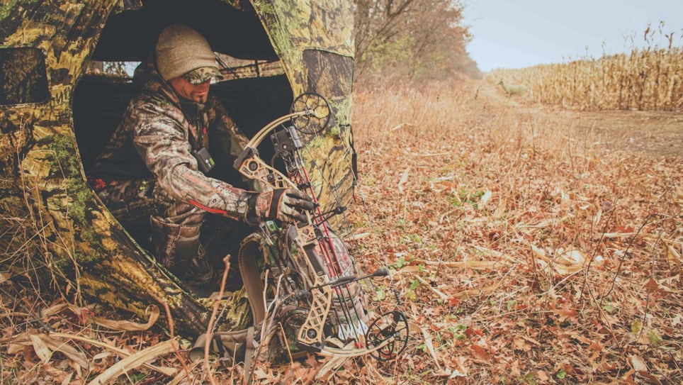 Make the Most of Your Whitetail Stands