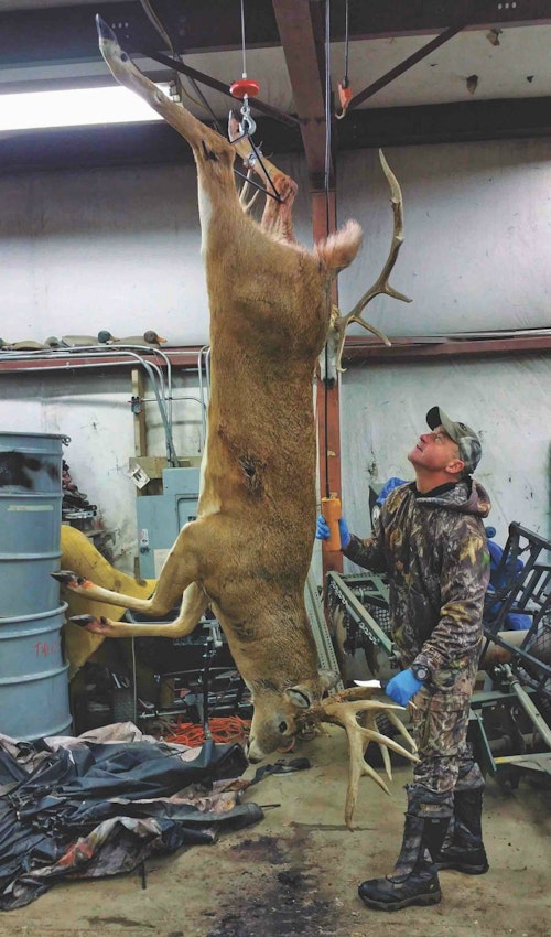 The two whitetail subspecies you’ll likely encounter the most are the Dakota and Northwest, with weights for mature bucks that can top 300 pounds, especially as you inch closer to the Canada border.