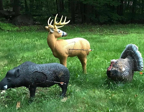 It's more fun to practice when you have realistic and interesting 3D targets such as these designs from Rinehart.