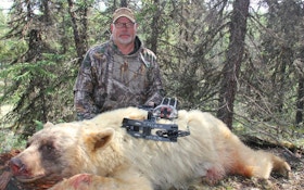 Archery Video: Grand Slam of Color-Phase Black Bears