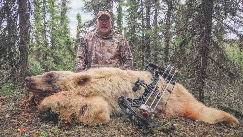 Choose the Right Canadian Bear Hunt for You