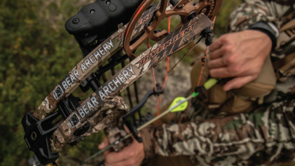 Bow Review: Bear Divergent