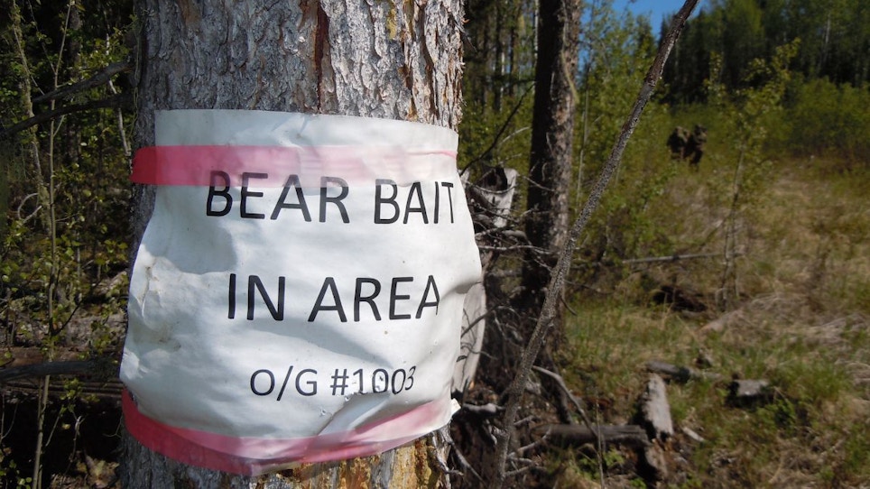 Hoarding Bait for Black Bear Success