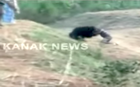 GRAPHIC: Bear Doesn't Want Selfie, Mauls Dumb Guy Who Tried