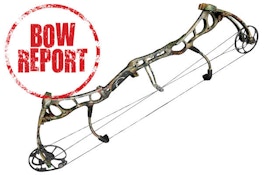 Bow Report: Bear Anarchy