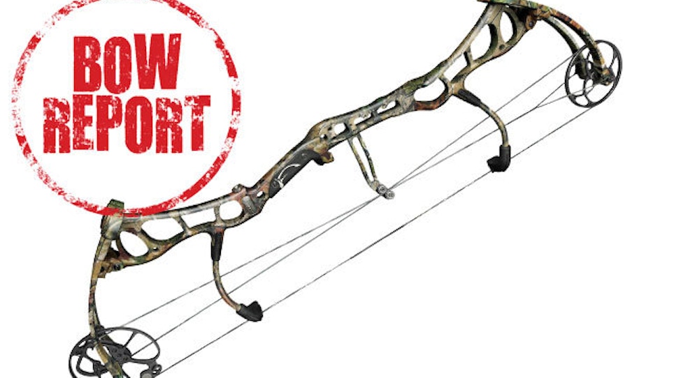 Bow Report: Bear Anarchy