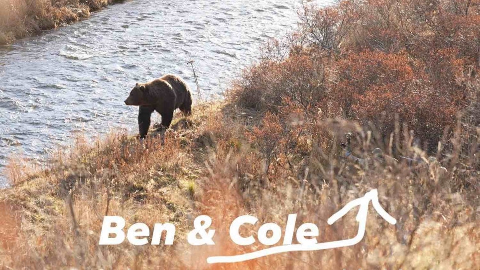 Bowhunting Video: Kodiak Island Brown Bear Arrowed at Only 4 Yards!