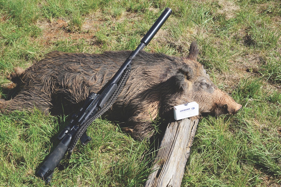 The .357 didn't have any problem dropping this wild hog with a 50-yard broadside shot.