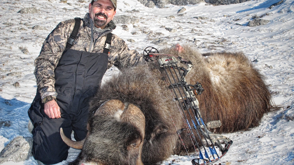 A Bowhunting Adventure For Alaskan Musk Ox