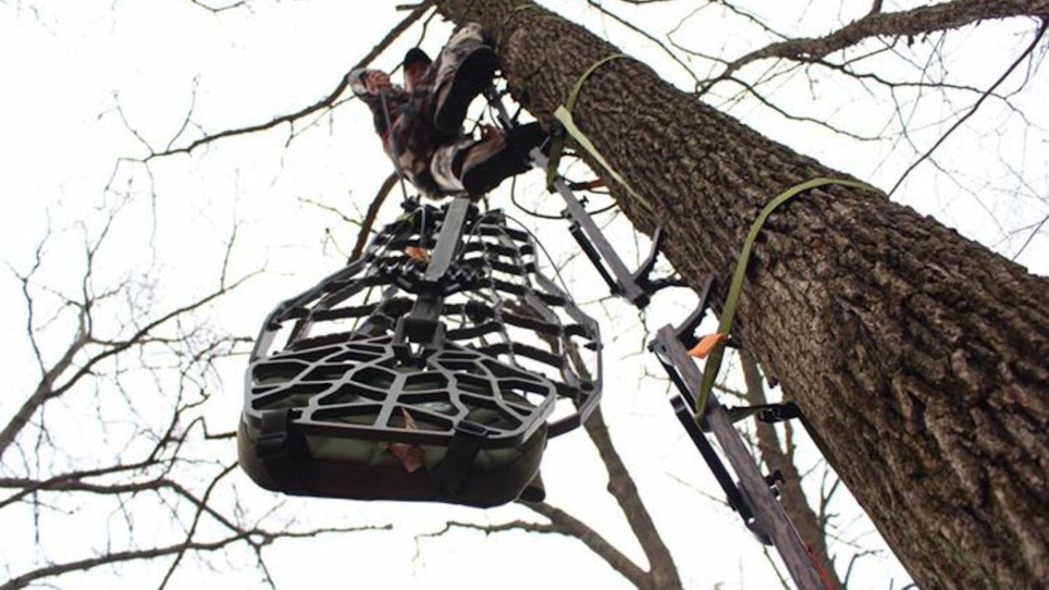 Go-To Gear for Big-Timber Bucks
