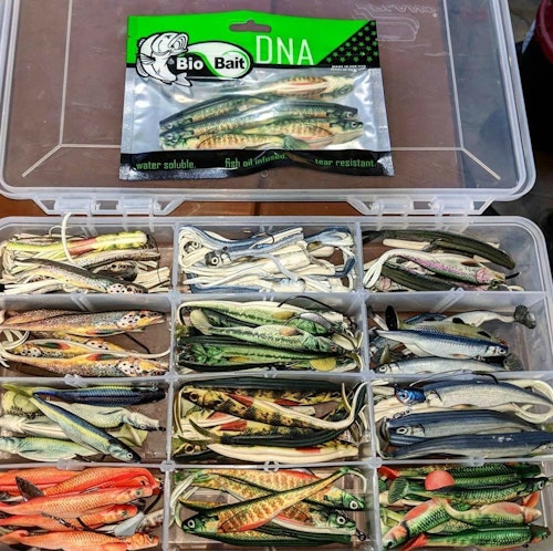 Bio Bait DNA series lures feature ultra-realistic colors and patterns.