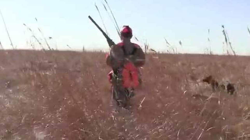 Quail, Pheasant Hunting The Army Way At Fort Riley