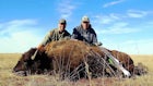Bowhunting an American Icon — Bison!